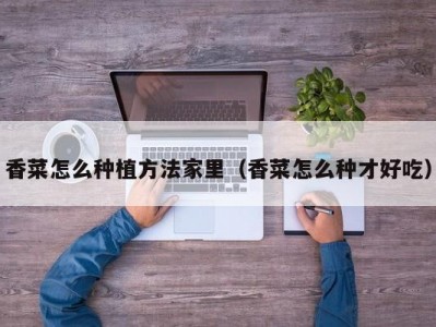 香菜怎么种植方法家里（香菜怎么种才好吃）